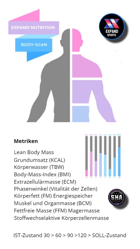 swiss hockey academy