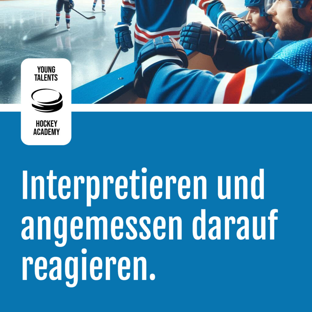 Ganzheitliche Ausbildung als Eishockeyspieler für alle Stufen