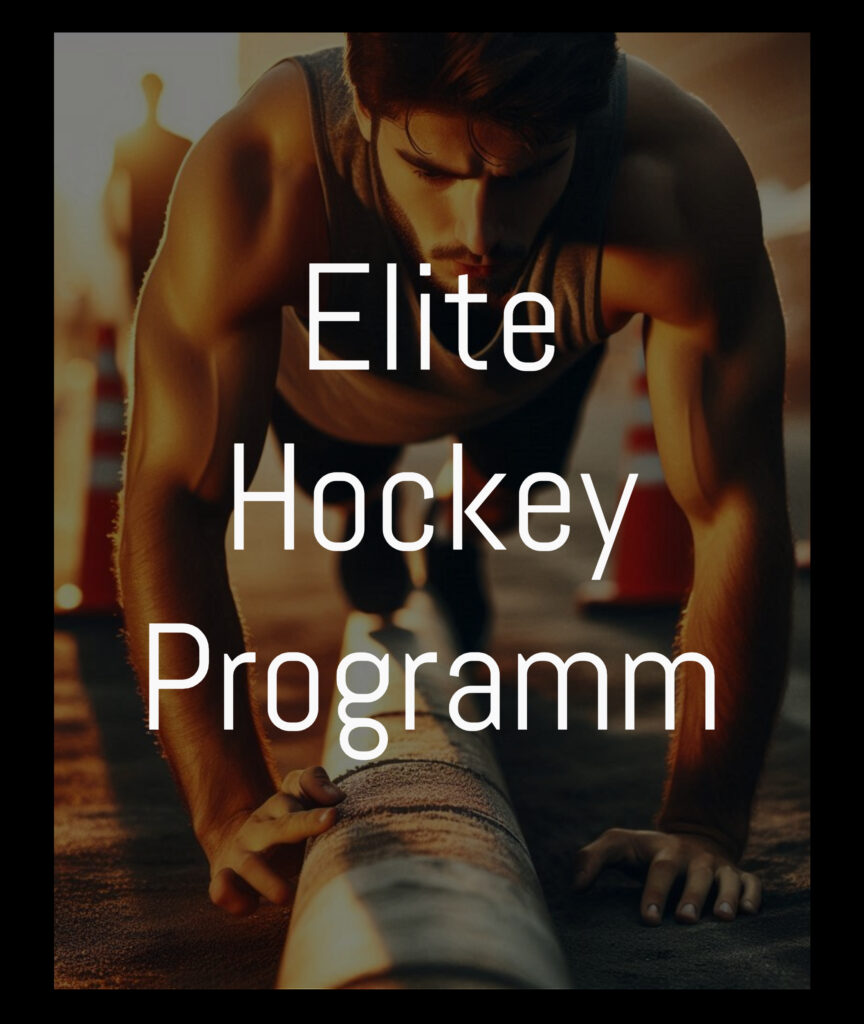 swiss ice hockey academy